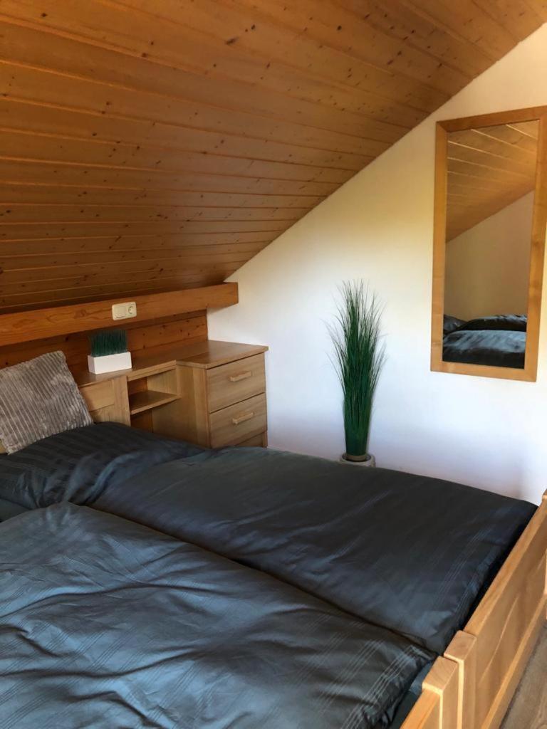 Ferienwohnung Buchenblick Моншау Экстерьер фото